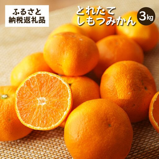 とれたてしもつみかん 3kg 家庭用｜和歌山県海南市の下津みかんを産地直送でお届け［2026年11月発送開始］