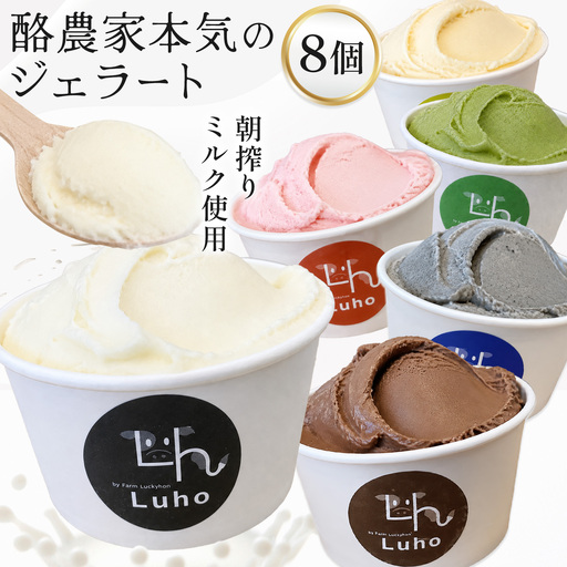 ジェラート 酪農家本気のジェラート 8個