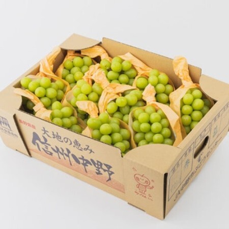 【2026年発送】【訳あり】JA中野市のシャインマスカット　約5kg(9房～10房)【配送不可地域：離島】【1759343】