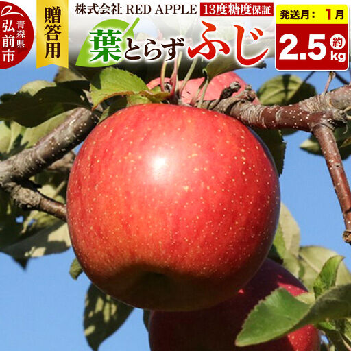[27年1月発送]りんご 13度糖度保証[贈答用]葉とらずふじ 約2.5kg 先行受付
