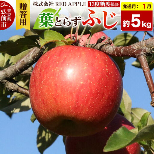 【27年1月上旬～発送】りんご 13度糖度保証【贈答用】葉とらずふじ 約5kg 先行受付