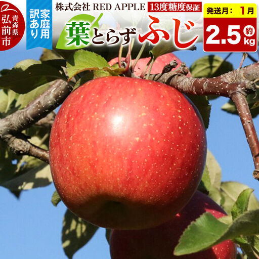 [27年1月発送]りんご 13度糖度保証[訳あり]家庭用 葉とらずふじ 約5kg 先行受付