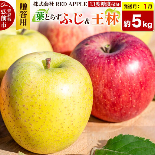 [27年1月発送]りんご 13度糖度保証[贈答用]葉とらずふじ&王林 約5kg 先行受付