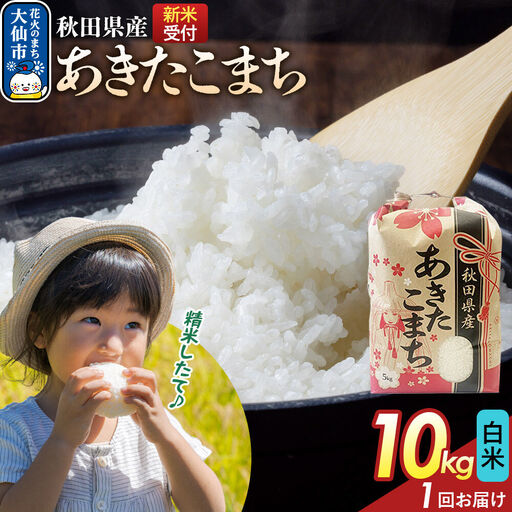 《令和8年産新米予約》 【白米】あきたこまち 10kg（5kg×2）秋田県産  こまちライン 秋田県 大仙市産