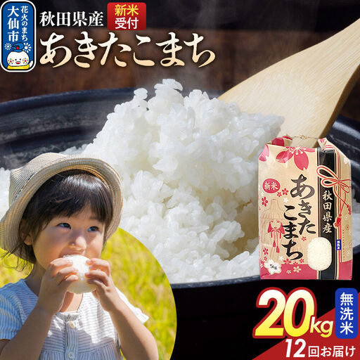 《令和8年産新米予約》 《定期便12ヶ月》【無洗米】あきたこまち 20kg（5kg×4） 秋田県産  こまちライン 秋田県 大仙市産