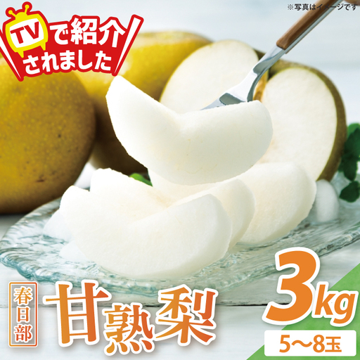 [8月中旬より発送]森田さんが作った☆春日部甘熟梨3kg☆(5〜8玉)[埼玉県 春日部市 梨 なし ナシ 3kg 甘熟梨 完熟梨 フルーツ 果物 旬 産地直送]