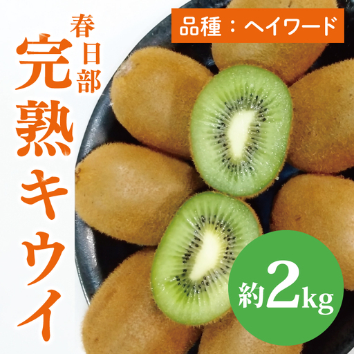 【先行予約】【12月上旬より発送開始】春日部完熟キウイ2kg【埼玉県 春日部市 キウイ キウイフルーツ 2kg 完熟 国産 フルーツ 果物 ヘイワード】(BG004）