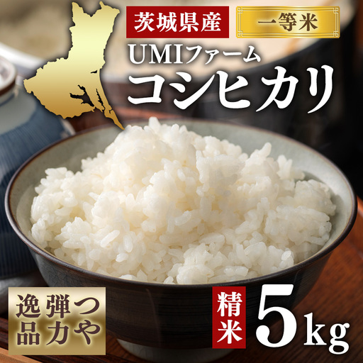 令和7年産　茨城県産コシヒカリ一等米　精米５㎏　つや、弾力逸品