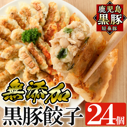 a1112 鹿児島黒豚「短鼻豚」無添加餃子 計24個(12個入×2パック)[鹿児島ますや]姶良市 国産 豚肉 野菜 ぎょうざ ギョーザ ギョウザ 惣菜 おかず 冷凍 安心