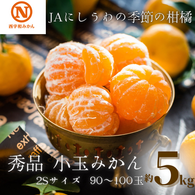 【先行受付】JAにしうわの季節の柑橘(にしうわみかん「秀品2S小玉みかん」約5kg)【C08-73】YWTV030 
