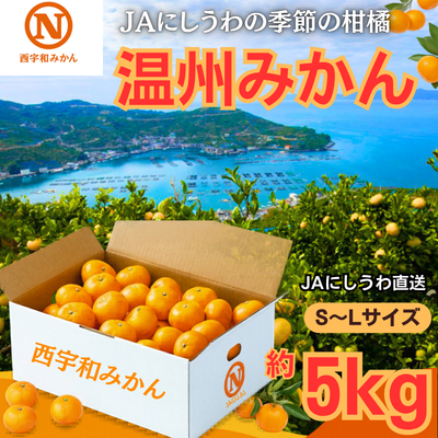 [先行受付]JAにしうわ直送 にしうわ温州みかん 約5kg[C08-97]Y