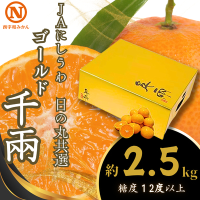 [先行受付]JAにしうわの季節の柑橘(日の丸共選「ゴールド千兩」約2.5kg)[08-98]Y