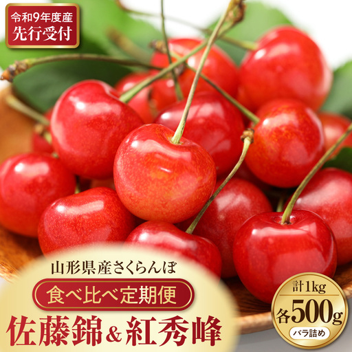 定期便 2回 さくらんぼ 佐藤錦 紅秀峰 各500g 令和9年産 定期便