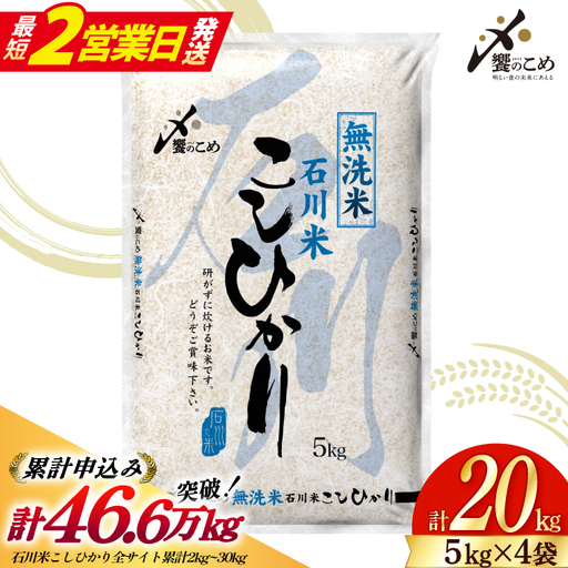 [最短2営業日発送] 米 令和8年 無洗米 こしひかり 精米 5kg 4袋 計 20kg
