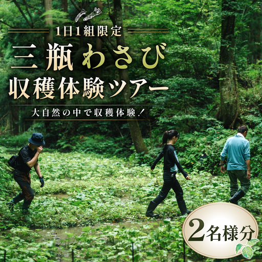 【1日1組限定】三瓶わさび 収穫体験ツアー（2名様分）【島根県大田市】