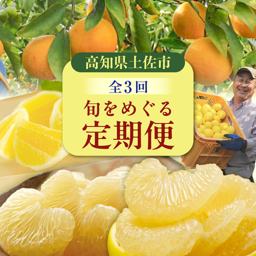 [3回定期便]文旦バラエティ定期便 お気軽コース[水晶文旦・温室文旦・土佐文旦] / 文旦 ぶんたん ブンタン 土佐文旦 水晶文旦 温室文旦 柑橘 フルーツ 果物 くだもの 定期便[白木果樹園][BQAI060]