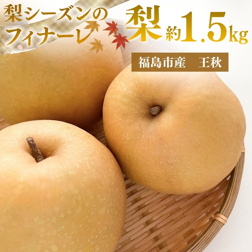 No.3369 アグリード 福島市産 最終盤の梨（王秋） 約1.5kg（3～5玉）【2026年発送】