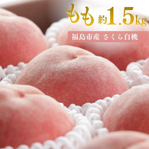 No.3370 アグリード 福島の桃（さくら白桃）晩成種 約1.5kg(3～5玉）【2026年発送】