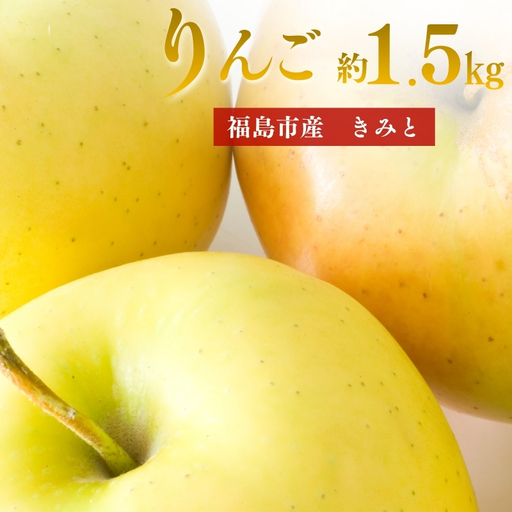 No.3373 アグリード 福島市産 りんご(きみと)約1.5kg(3〜6玉)[2026年発送]