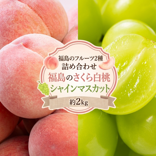 No.3377 アグリード 福島のフルーツ2種詰め合わせ(さくら白桃とシャインマスカット)約2kg[2026年発送]