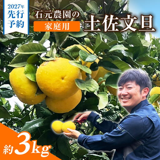 [先行予約]石元農園の土佐文旦 家庭用 約3キロ[2027年2月〜発送]/ 期間限定 土佐文旦 文旦 3kg ブンタン ぶんたん 果物 柑橘 フルーツ 高知県産 家庭用 おいしい [石元農園][BQBH006]