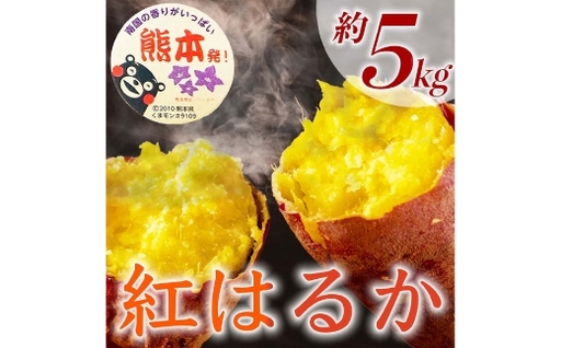 紅はるか 約5kg ( 9 〜 37個 ) さつまいも サツマイモ 野菜 いも イモ やさい 焼き芋 芋 スイーツ 国産 熊本県産 [ 2027年2月上旬から6月下旬発送予定 ]