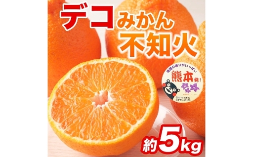 不知火 ( デコポン同品種 ) 12 〜 24玉 約5kg デコポン 柑橘系 柑橘類 柑橘 果物 くだもの フルーツ 果実 果汁 果肉 国産 熊本県産 [ 2027年2月上旬から4月上旬発送予定 ]