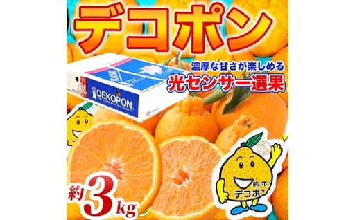 デコポン 6 〜 13玉 約3kg 柑橘系 柑橘類 柑橘 果物 くだもの フルーツ 果実 果汁 果肉 国産 熊本県産 [ 2026年12月上旬から2027年4月上旬発送予定 ]