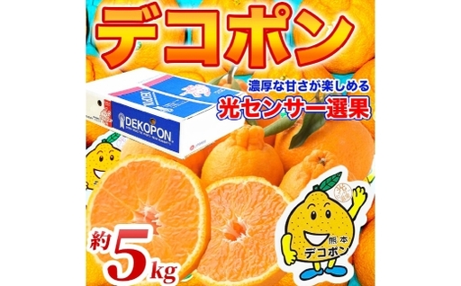 デコポン 12 ～ 24玉 約5kg 柑橘系 柑橘類 柑橘 果物 くだもの フルーツ 果実 果汁 果肉 国産 熊本県産 【 2026年12月上旬から2027年4月上旬発送予定 】
