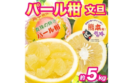 パール柑 約5kg 柑橘系 柑橘類 柑橘 果物 くだもの フルーツ 果実 果汁 果肉 国産 熊本県産 [ 2027年3月上旬から3月下旬発送予定 ]