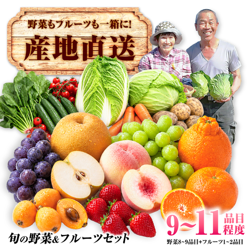 [産地直送]長崎県諫早産 旬の野菜&フルーツ詰め合わせ 9・11品目程度 季節のおまかせセット / 野菜 フルーツ 果物 セット 詰め合わせ 旬 食べ比べ 産地直送 健康 / 諫早市 / 肥前グローカル株式会社[AHDI013]