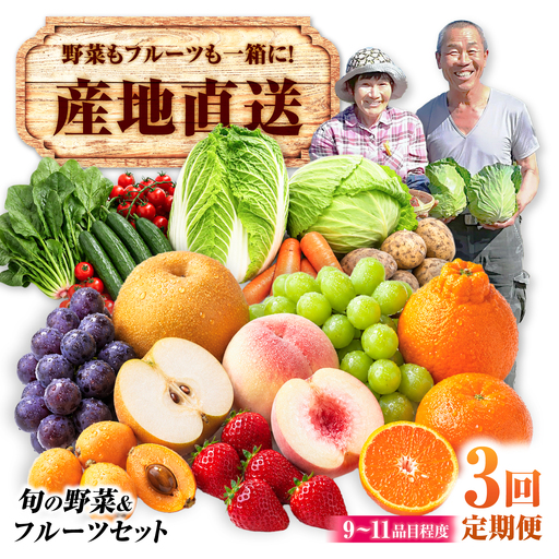 [3回定期便][産地直送]長崎県諫早産 旬の野菜&フルーツ詰め合わせ 9・11品目程度 季節のおまかせセット / 野菜 フルーツ 果物 セット 詰め合わせ 旬 食べ比べ 産地直送 健康 / 諫早市 / 肥前グローカル株式会社[AHDI016]