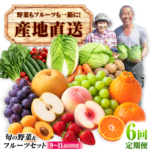 【6回定期便】【産地直送】長崎県諫早産 旬の野菜＆フルーツ詰め合わせ 9・11品目程度 季節のおまかせセット / 野菜 フルーツ 果物 セット 詰め合わせ 旬野菜セット 旬のフルーツ 旬 食べ比べ 産地直送 健康 / 諫早市 / 肥前グローカル株式会社[AHDI017]