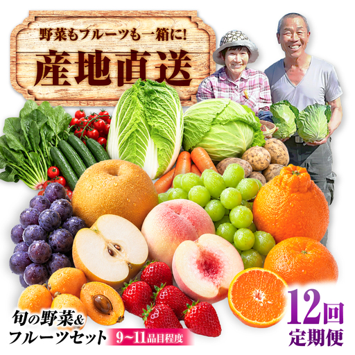 【12回定期便】【産地直送】長崎県諫早産 旬の野菜＆フルーツ詰め合わせ 9・11品目程度 季節のおまかせセット / 野菜 フルーツ 果物 セット 詰め合わせ 旬野菜セット 旬のフルーツ 旬 食べ比べ 産地直送 健康 / 諫早市 / 肥前グローカル株式会社[AHDI018]