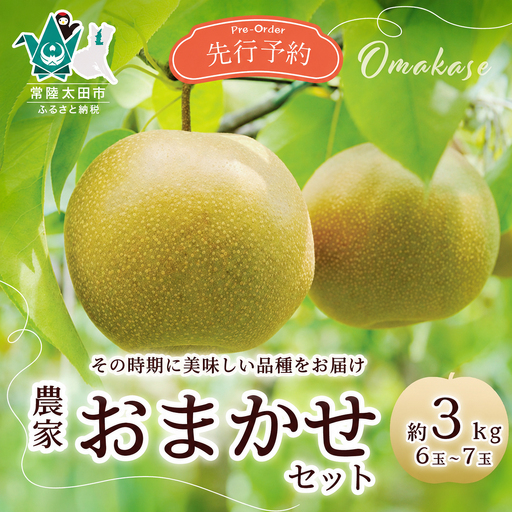 梨 食べ比べ 約3kg 3種類 梨