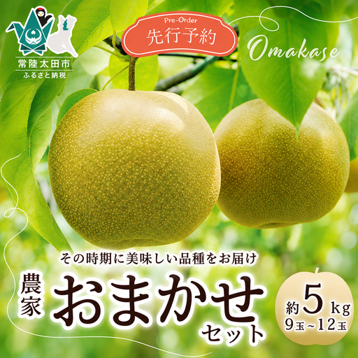 梨 食べ比べ 約5kg 3種類 梨