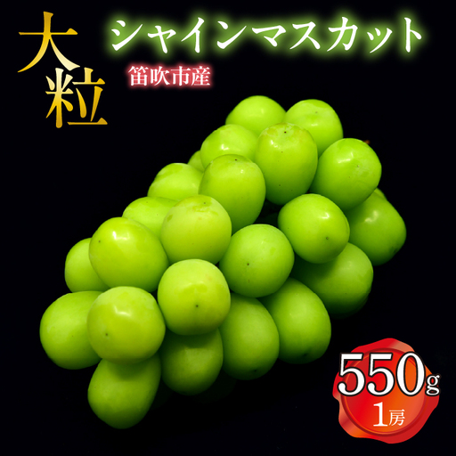 [2026年発送★先行予約] 笛吹市産 大粒シャインマスカット 550g以上(1房) 227-022-26y