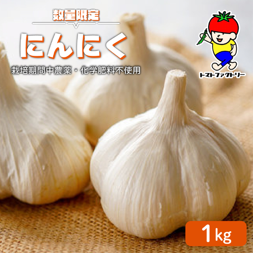 [期間限定] にんにく 1kg トマトファクトリー 栽培期間中 農薬 化学肥料不使用 ニンニク