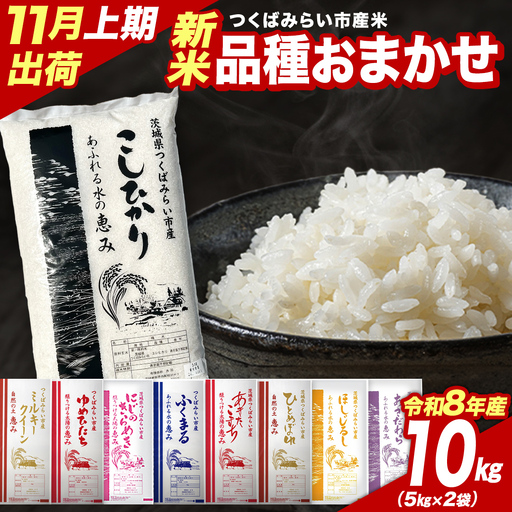 米 新米 令和8年産 品種おまかせ 10kg 精米 茨城県 つくばみらい市