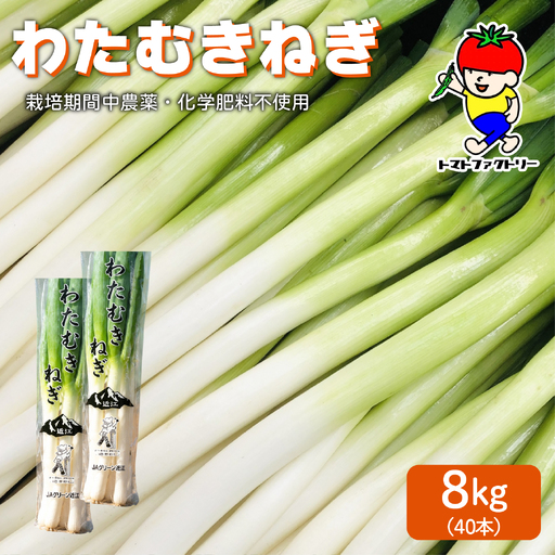 [先行予約] [期間限定] 日野町産 わたむきねぎ 8kg 40本 トマトファクトリー 野菜 ねぎ ネギ 長ネギ 白ネギ