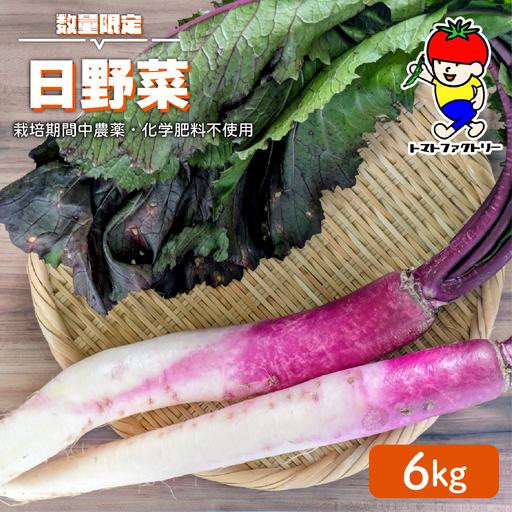 [先行予約] [期間限定] 日野町産 日野菜 6kg トマトファクトリー 野菜 漬物 漬け物 ひのな