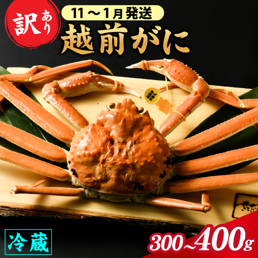 【先行予約】【訳あり】朝茹で 越前がに 300g～400g （足折れ）11月～1月発送「11月中旬より順次発送」[C-065001]/ ｽﾞﾜｲｶﾞﾆ ｽﾞﾜｲｶﾞﾆ ｽﾞﾜｲｶﾞﾆ