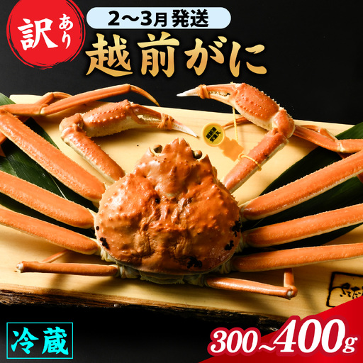 [先行予約][訳あり]朝茹で 越前がに 300g〜400g (足折れ)2月〜3月発送「2月上旬より順次発送」[B-065039]/ ズワイガニ ズワイガニ ズワイガニ