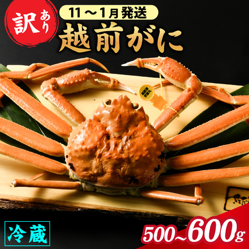 【先行予約】【訳あり】朝茹で 越前がに 500g～600g （足折れ）11月～1月発送「11月中旬より順次発送」[D-065037]/ ｽﾞﾜｲｶﾞﾆ ｽﾞﾜｲｶﾞﾆ ｽﾞﾜｲｶﾞﾆ