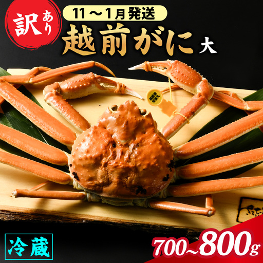 【先行予約】【訳あり】朝茹で 越前がに 700g～800g （足折れ）11月～1月発送「11月中旬より順次発送」[E-065038]/ ｽﾞﾜｲｶﾞﾆ ｽﾞﾜｲｶﾞﾆ ｽﾞﾜｲｶﾞﾆ