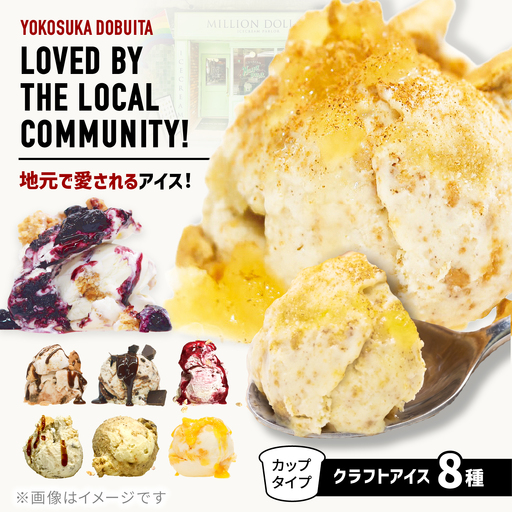 ミリオンダラーアイスクリーム8種【株式会社DADA GLOBAL】[AKHW001]
