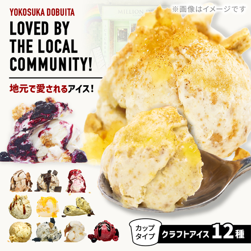 ミリオンダラーアイスクリーム12種【株式会社DADA GLOBAL】[AKHW002]