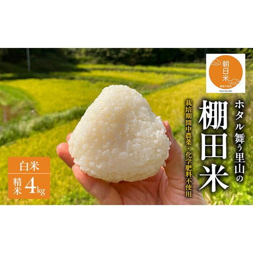 先行受付 農薬不使用 白米 ホタル舞う里山の棚田米 精米4kg 令和8年産 朝日2kg×2袋