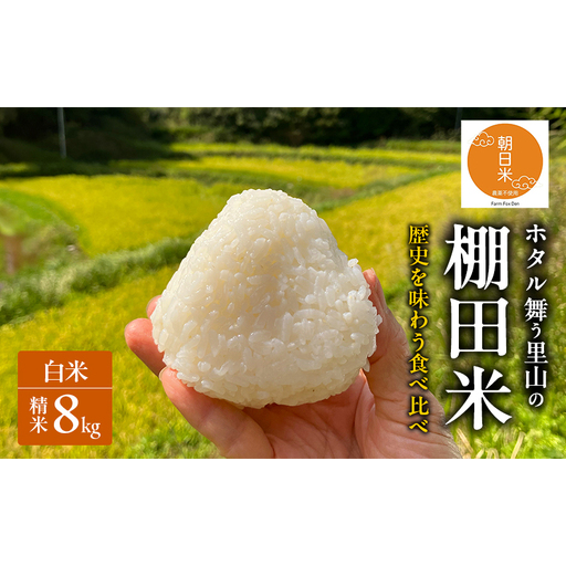 先行受付 伝統稲と現代稲食べ比べ 白米 ホタル舞う里山の棚田米 精米8kg 令和8年産 朝日2kg にじのきらめき2kg 各2袋