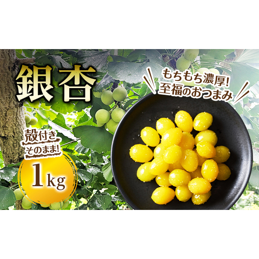 銀杏 1kg ぎんなん ギンナン 裾野産 食材 食品 おつまみ 静岡県 裾野市